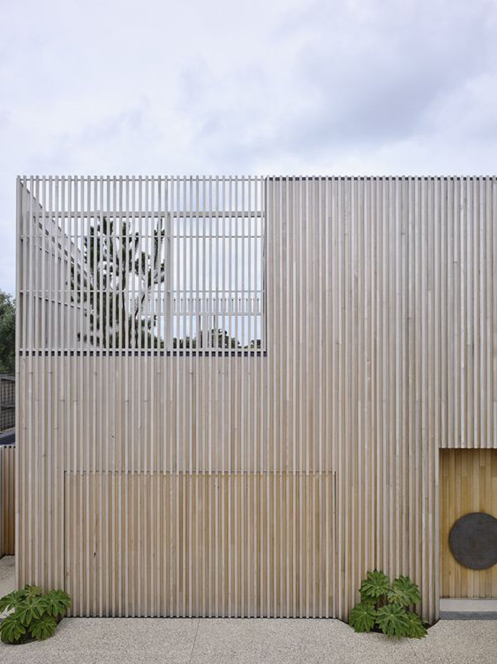 Arctic Oak Exterior Slat Accent Wall, Privacy Fence Kit